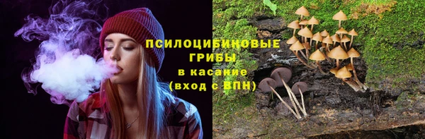 бошки Магас