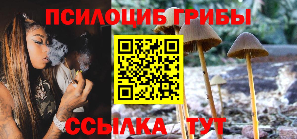 Галлюциногенные грибы GOLDEN TEACHER Сызрань